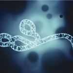Ebola Bundibugyo nella RDC: emergenza ancora internazionale